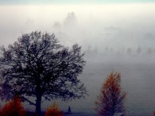 Autumn ... the fog ... / ***