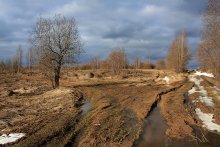 Russian landscape. / ***