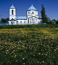 Spring ... / ***
