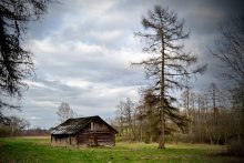 The old barn / .....