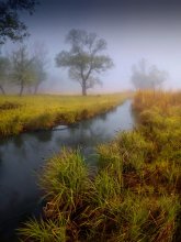In the misty valley of the River / ******