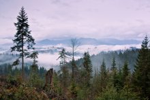 Morning of April Carpathians / .........................