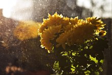 City, reflection ... / ***