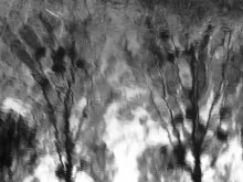 sleep / ***