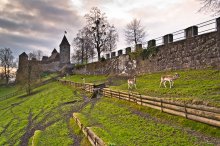 The walls of the castle Rapperswil 2 / ***