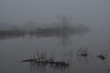 River Fog / ***