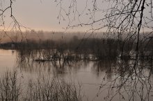 Somewhere lost in the branches of my April / ***