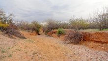 Tucson River / ***