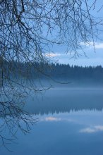 Series: Mist number 8 / ,,,,,,,,,,,,,,,,,