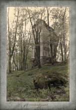 Castle Ruins Tyshkevich. 2012 / ***