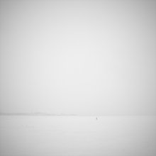 &nbsp; / '''''