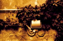 220V / ...................