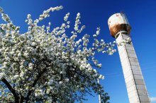 Rusty Tower and blossoming in May / ***