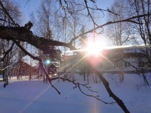 Winter sun / ***