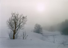 &quot;Winter Mist&quot; / ***