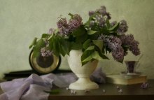 When the lilacs bloom / ................