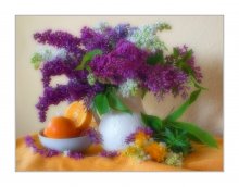 with oranges and lilacs / ***