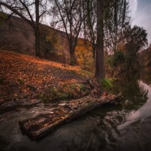 Corner of autumn melancholy / ***