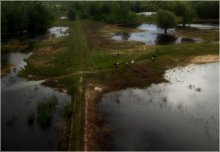 Birds Eye View / ***