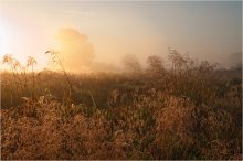 Saturated with dew / ***