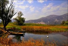 The shores of Lake Skadar / ***