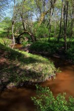 the river in spring / *****