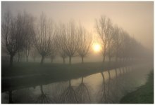 The sunrise this morning. / The morning mist during the sunrise...