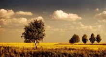 The last warm day .. / ***