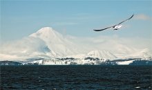 flying over the ocean ... / ***