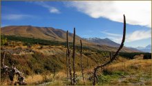Expanses of New Zealand / ***
