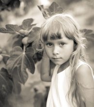 Girl with figs / ***