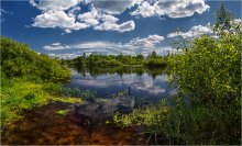 A quiet fishing spot / ***