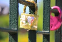 Here it is, happiness! / ***