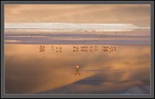 Encountering a new day .... / ***