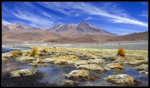 Altiplano of the Andes .... / ***