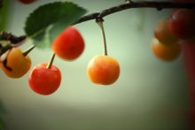 Before sunset ..... / ***