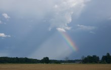 Rainbow / ***