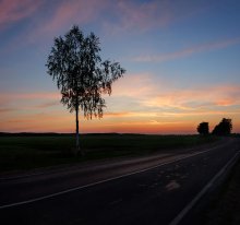 Ground sunset. / ***