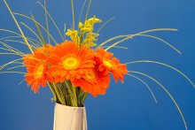 Bouquet of gerberas. / ***
