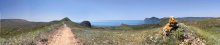 Summer expanses of Cimmeria / ***