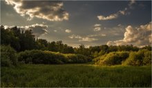 Evening Meadow / ***