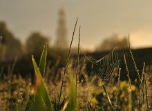 Morning in the hometown ... / ***