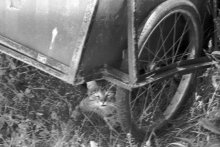 &nbsp; / .............