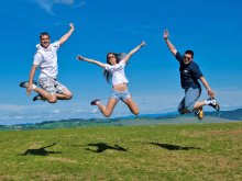 The joy of youth. *** / ***