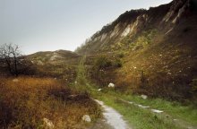 Chalky Mount Sentinel / ***