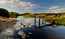 Morning. Tank Bridge / ***