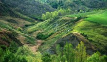 landscapes at a speed of 250 km / h / ***