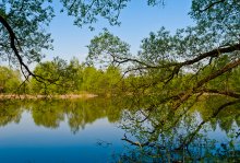 Elninskaya ponds. / ***