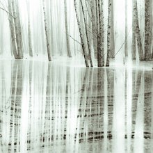 Spring distance / ***
