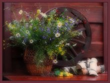 Still Life with Wild Flowers / ***